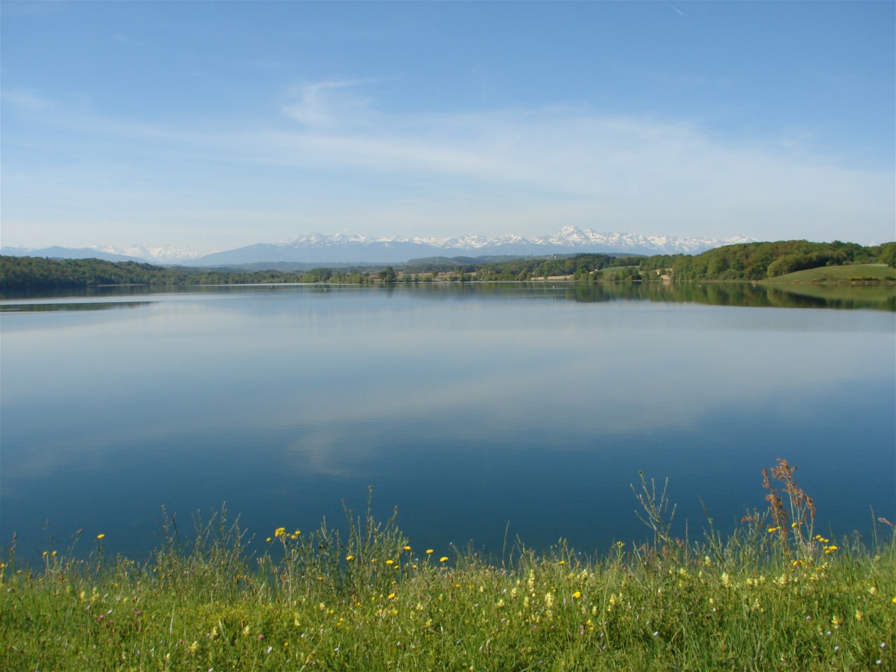 lac de pêche et réserve ornithologique